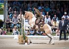 Pferd International 127